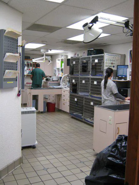 Pacific Palisades Veterinary Center Picture 4