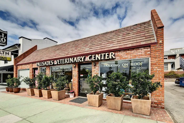 Pacific Palisades Veterinary Center Picture 5