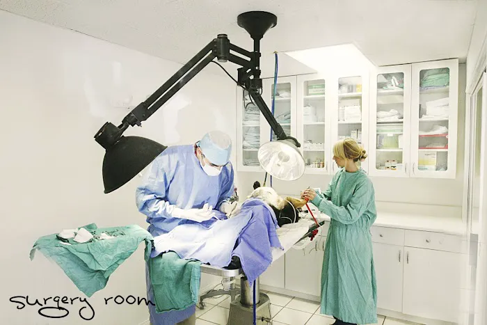 Malibu Vet Clinic Picture 4