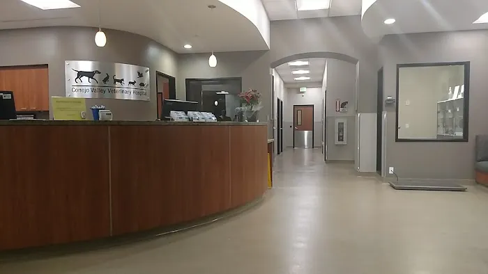 Conejo Valley Veterinary Hospital Picture 1