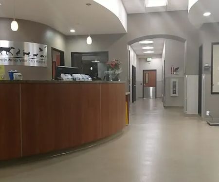 Conejo Valley Veterinary Hospital