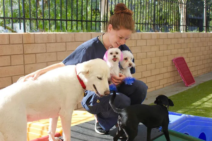 Conejo Valley Veterinary Hospital Picture 9