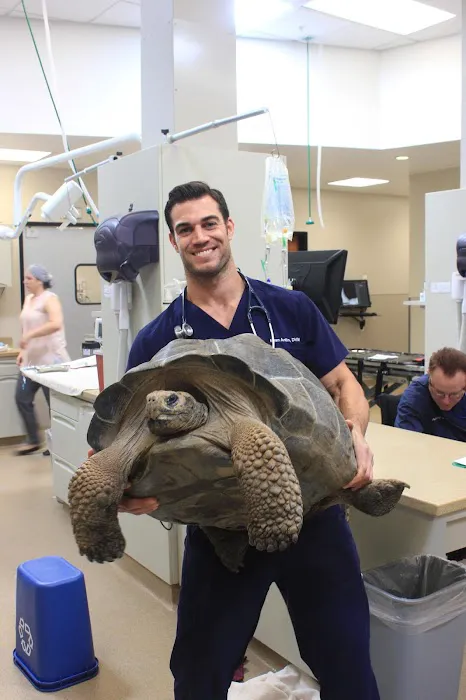 Conejo Valley Veterinary Hospital Picture 10