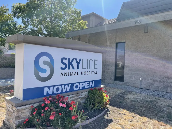 Skyline Animal Hospital Picture 3