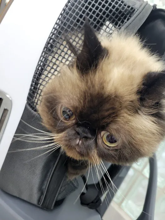 Paw Works Veterinary Hospital Picture 7