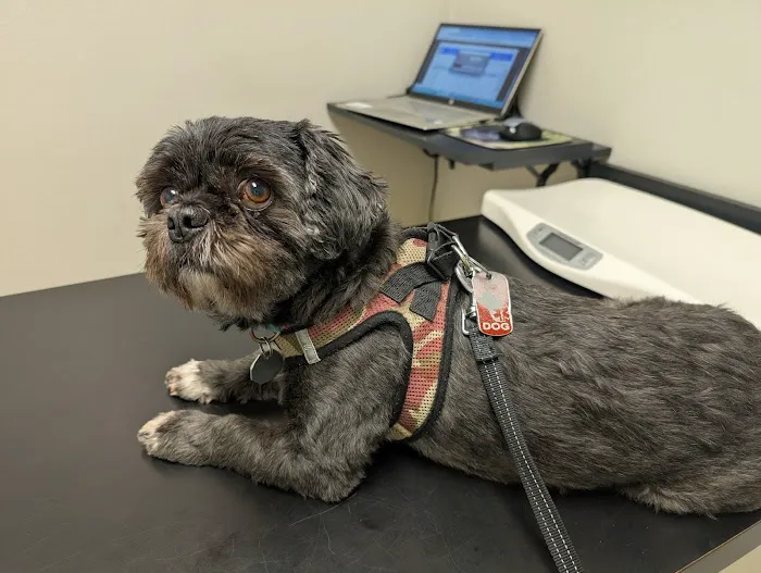 Ala-Palm Animal Hospital Picture 1