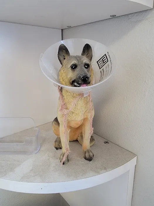 Ala-Palm Animal Hospital Picture 7