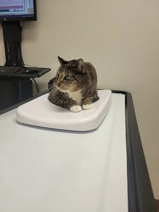Ala-Palm Animal Hospital Picture 5