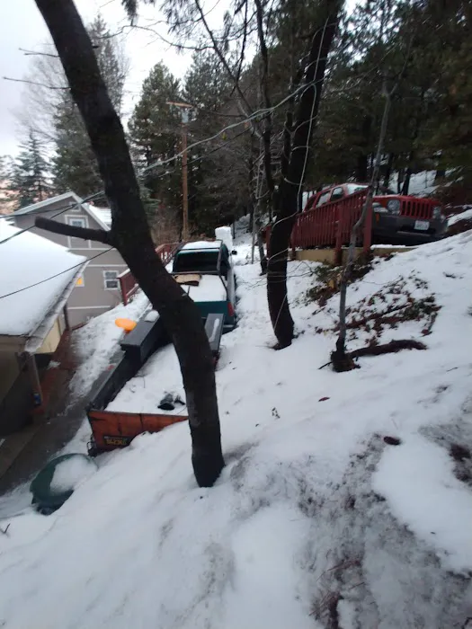 Rimforest Animal Hospital Picture 5