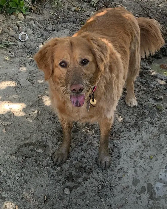 Rimforest Animal Hospital Picture 6