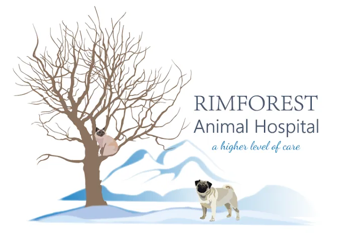 Rimforest Animal Hospital Picture 9