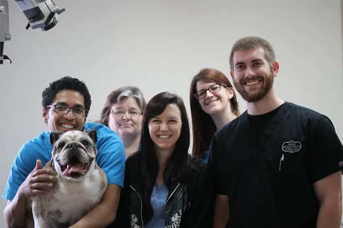Animal Medical Center of Redlands Picture 2