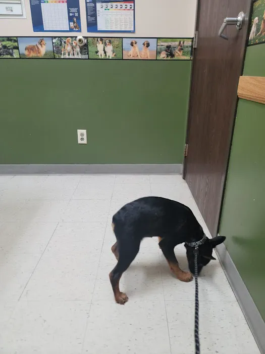 Highland Village Pet Hospital Picture 5