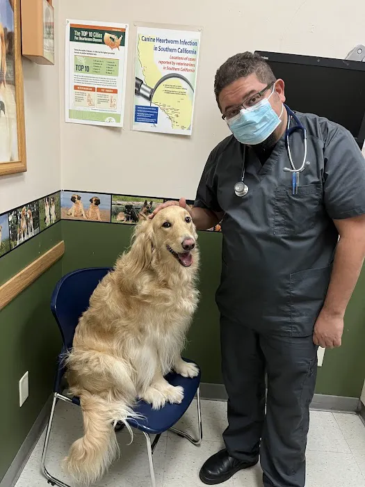 Highland Village Pet Hospital Picture 8