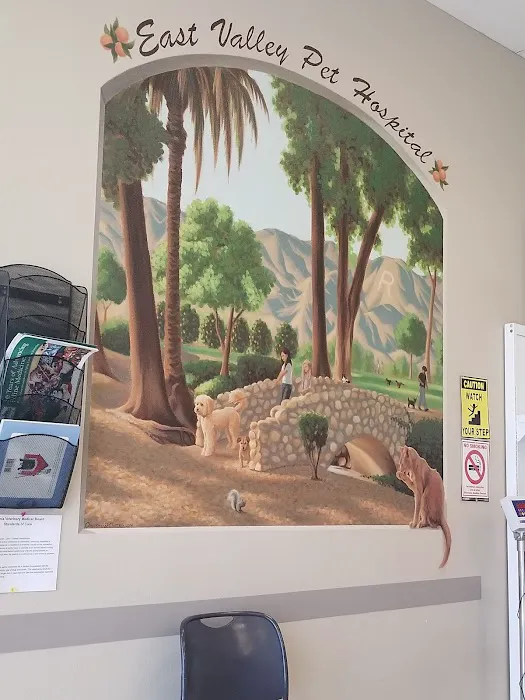 East Valley Pet Hospital Picture 6