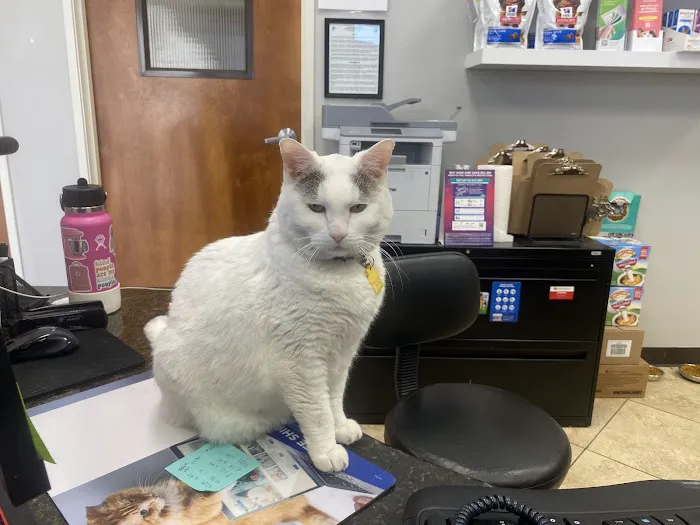 East Valley Pet Hospital Picture 7