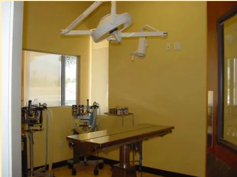 East Valley Pet Hospital Picture 10