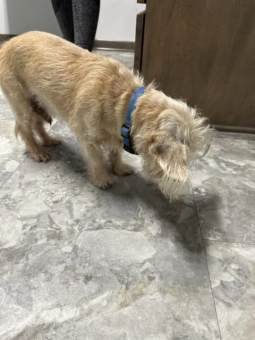 Animal Emergency Center of Killeen Picture 6