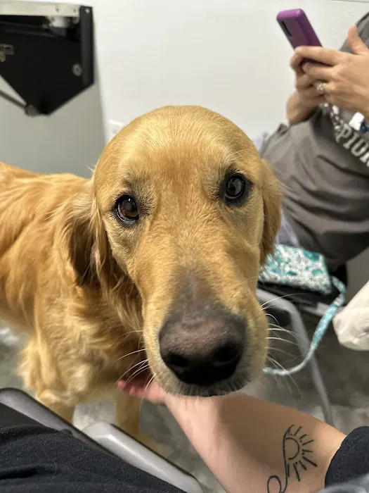 Animal Emergency Center of Killeen Picture 8