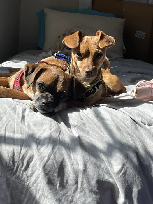Banfield Pet Hospital Picture 1