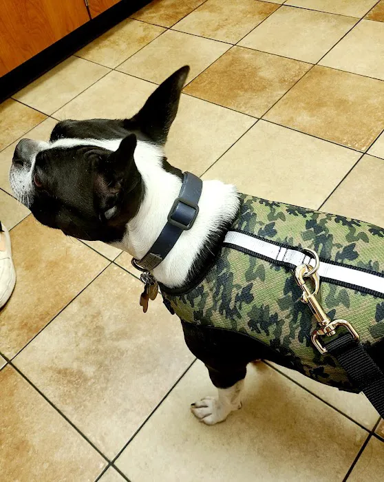 Banfield Pet Hospital Picture 4