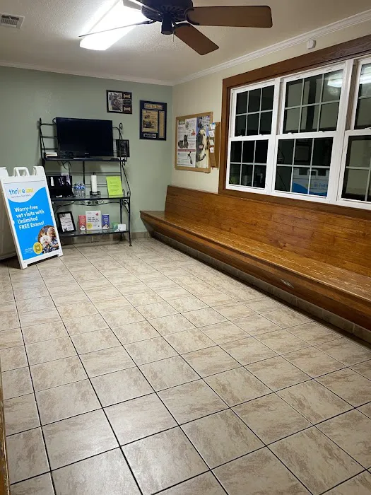 El Centro Pet Medical Center, A Thrive Pet Healthcare Partner Picture 6