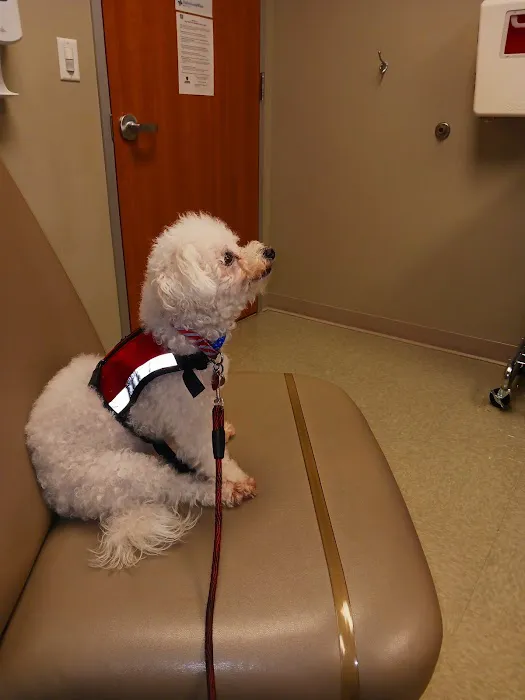 Town & Country Veterinary Medical Center Picture 1