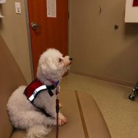 Town & Country Veterinary Medical Center ico