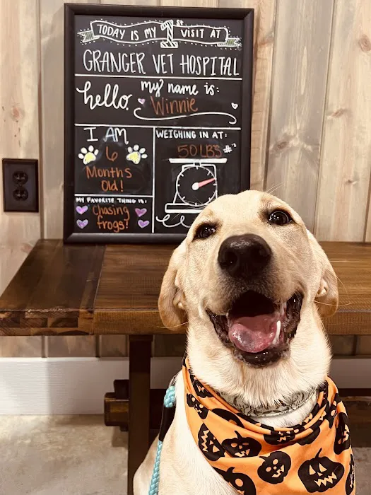 Granger Veterinary Hospital Picture 1
