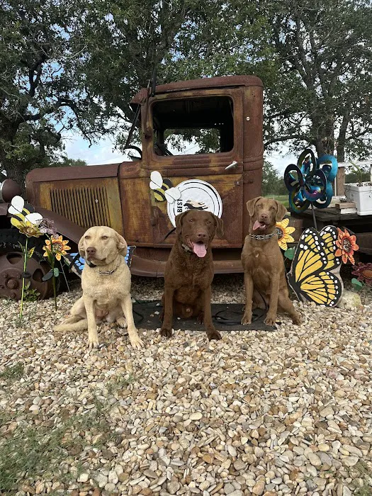 Granger Veterinary Hospital Picture 4