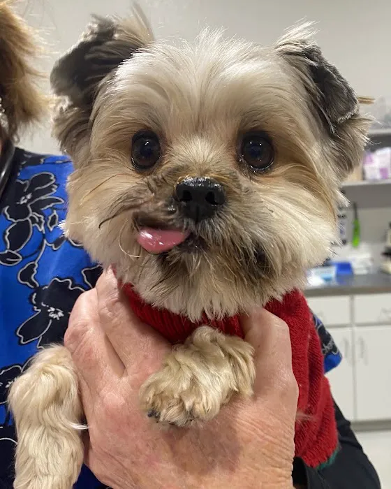 Granger Veterinary Hospital Picture 7