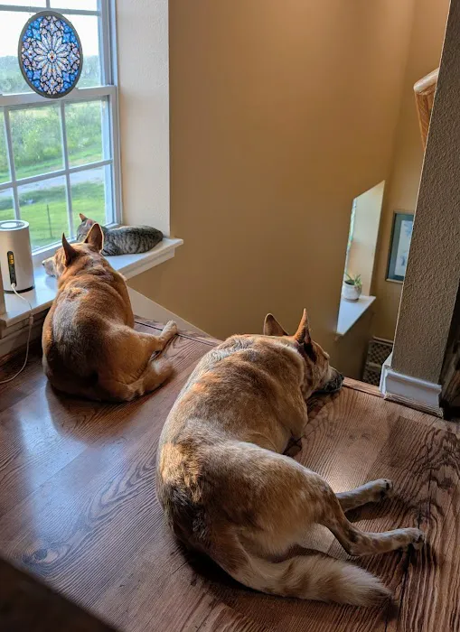 Granger Veterinary Hospital Picture 8