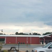 Animal Medical Center Of Panola County ico