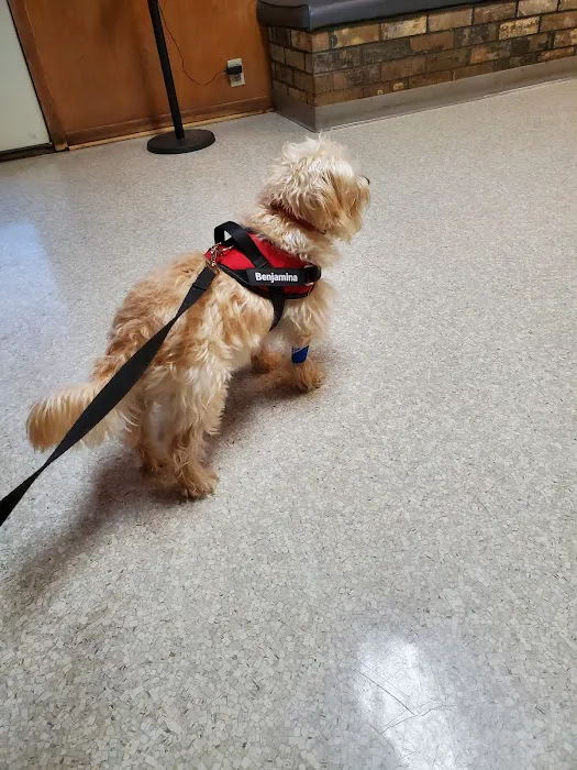 Animal Medical Center Of Panola County Picture 8