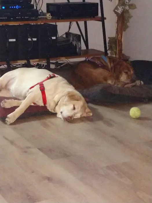 Ellerbe Road Animal Hospital Picture 4