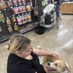 Vetco Vaccination Clinic