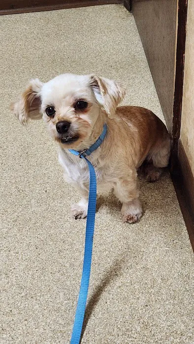 South Shreveport Animal Hospital Picture 2