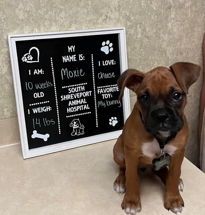 South Shreveport Animal Hospital Picture 10