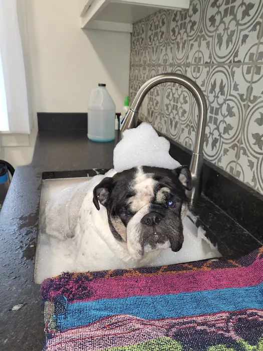 Provenance Veterinary Hospital Picture 10