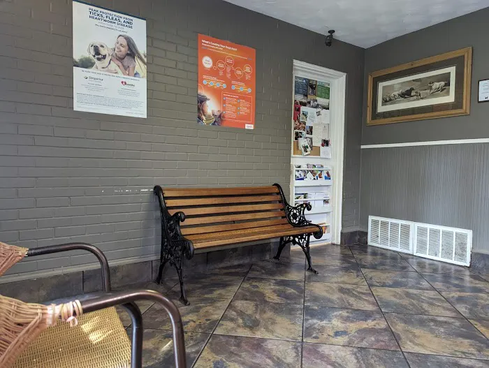 Broadmoor Animal Hospital Picture 8