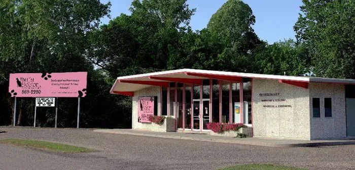 The Cat Doctor Feline Medical Center Picture 2