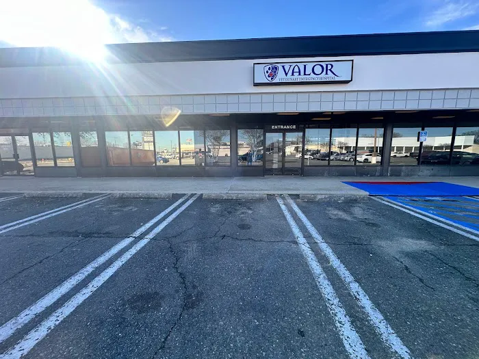 Valor Veterinary Emergency Hospital Picture 2