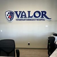 Valor Veterinary Emergency Hospital ico