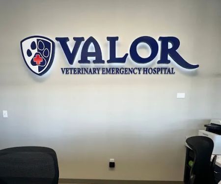 Valor Veterinary Emergency Hospital