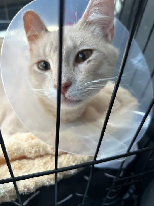 Valor Veterinary Emergency Hospital Picture 7