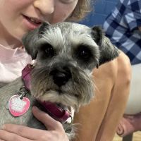 PetStar Animal Care ico