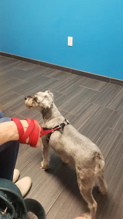 PetStar Animal Care Picture 6