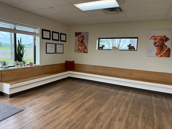North Airline Animal Hospital Picture 2