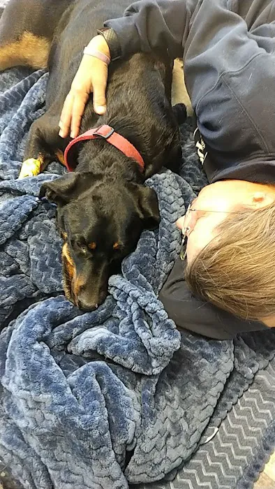 North Airline Animal Hospital Picture 7