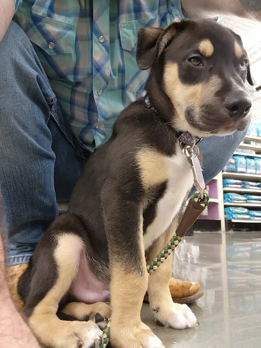 Banfield Pet Hospital Picture 1